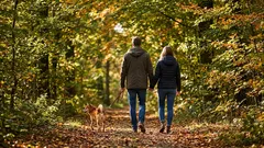 Warum 15 Minuten am Stück gehen mehr bringt als viele Mini-Wege